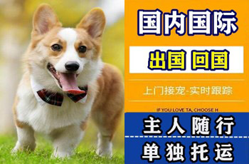 黄南州宠物托运公司黄南州宠物托运公司黄南州宠物托运公司