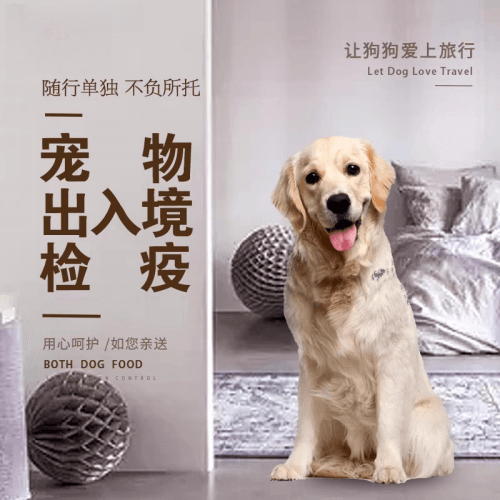 黄南州宠物托运到哥伦比亚猫狗宠物入境规定和