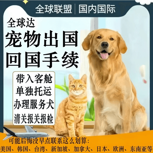 黄南州宠物托运到柬埔寨宠物入境规定和要求