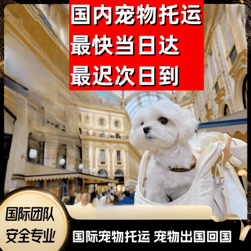 黄南州到澳大利亚（澳洲）宠物入境规定和要求